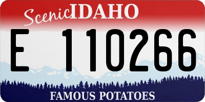 ID license plate E110266