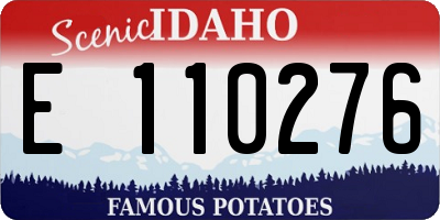 ID license plate E110276