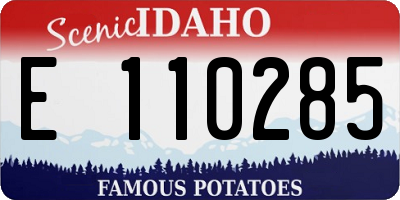 ID license plate E110285