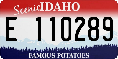 ID license plate E110289