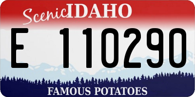 ID license plate E110290