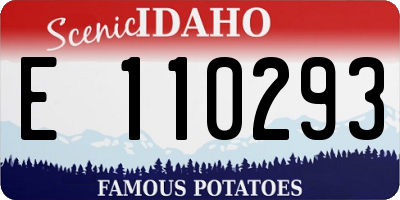ID license plate E110293