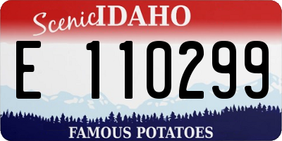 ID license plate E110299
