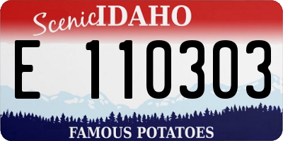 ID license plate E110303