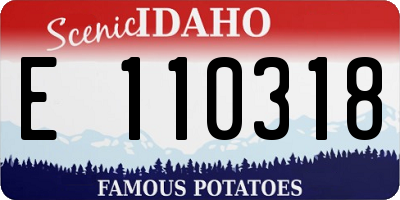 ID license plate E110318