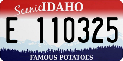 ID license plate E110325