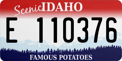 ID license plate E110376