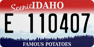 ID license plate E110407