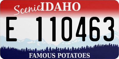 ID license plate E110463