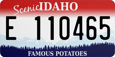 ID license plate E110465