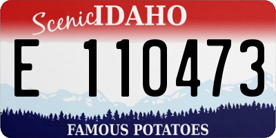 ID license plate E110473