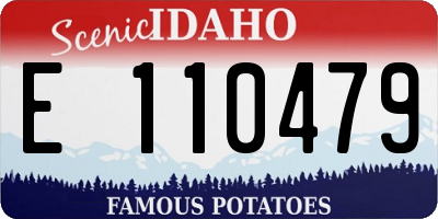 ID license plate E110479