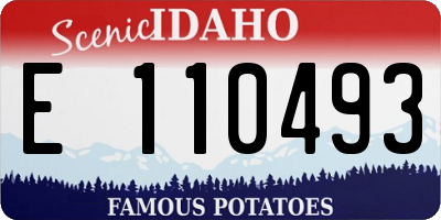 ID license plate E110493