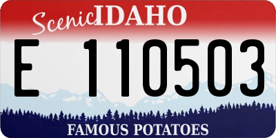 ID license plate E110503