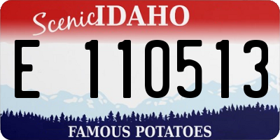 ID license plate E110513