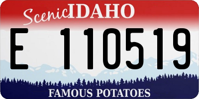 ID license plate E110519