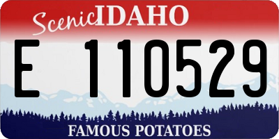 ID license plate E110529