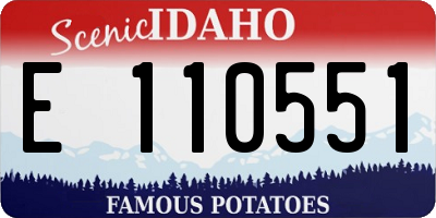 ID license plate E110551