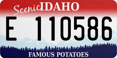 ID license plate E110586