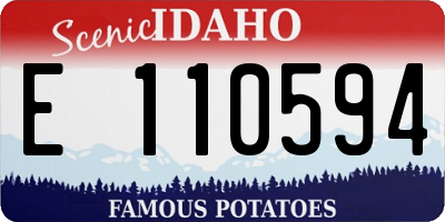 ID license plate E110594