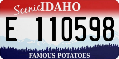 ID license plate E110598