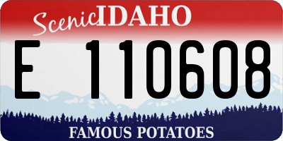 ID license plate E110608