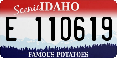 ID license plate E110619