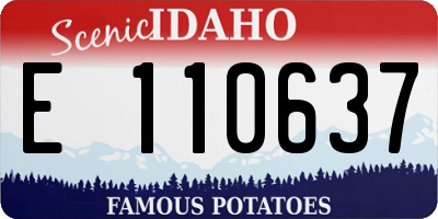 ID license plate E110637