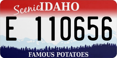 ID license plate E110656