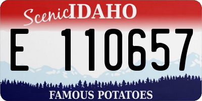 ID license plate E110657