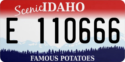 ID license plate E110666