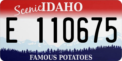 ID license plate E110675