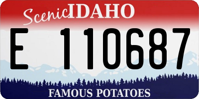 ID license plate E110687