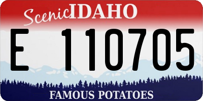 ID license plate E110705