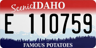 ID license plate E110759