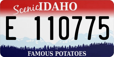 ID license plate E110775
