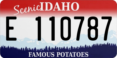 ID license plate E110787