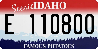 ID license plate E110800
