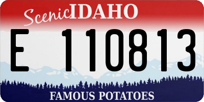 ID license plate E110813