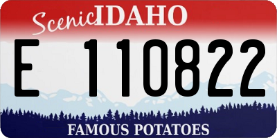 ID license plate E110822
