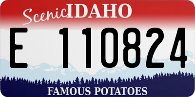 ID license plate E110824