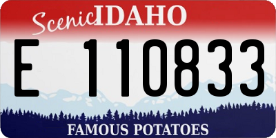 ID license plate E110833