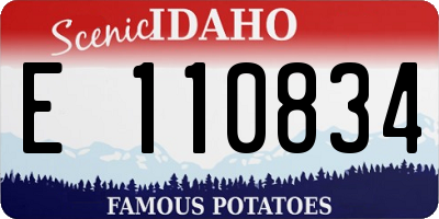 ID license plate E110834