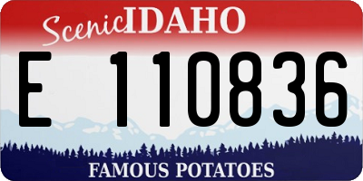 ID license plate E110836
