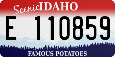 ID license plate E110859