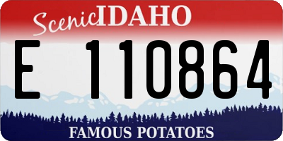 ID license plate E110864