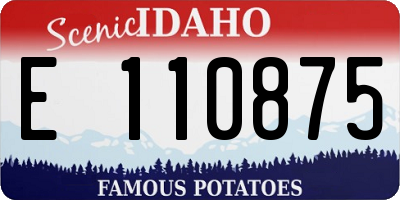 ID license plate E110875