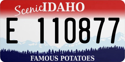 ID license plate E110877