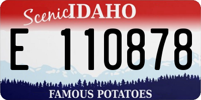 ID license plate E110878