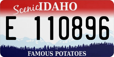 ID license plate E110896